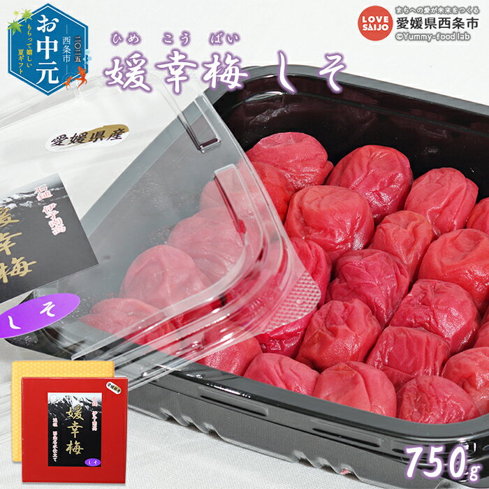 【ふるさと納税】【お中元】＜媛幸梅 しそ 750g＞ 梅干し うめぼし ウメボシ ご飯のお供 お弁当 おにぎり おむすび 減塩 塩分13％ シソ 紫蘇 南高梅 国産 特産品 佐伯食品 愛媛県 西条市 【常温】『通常：翌月末までに順次出荷予定』