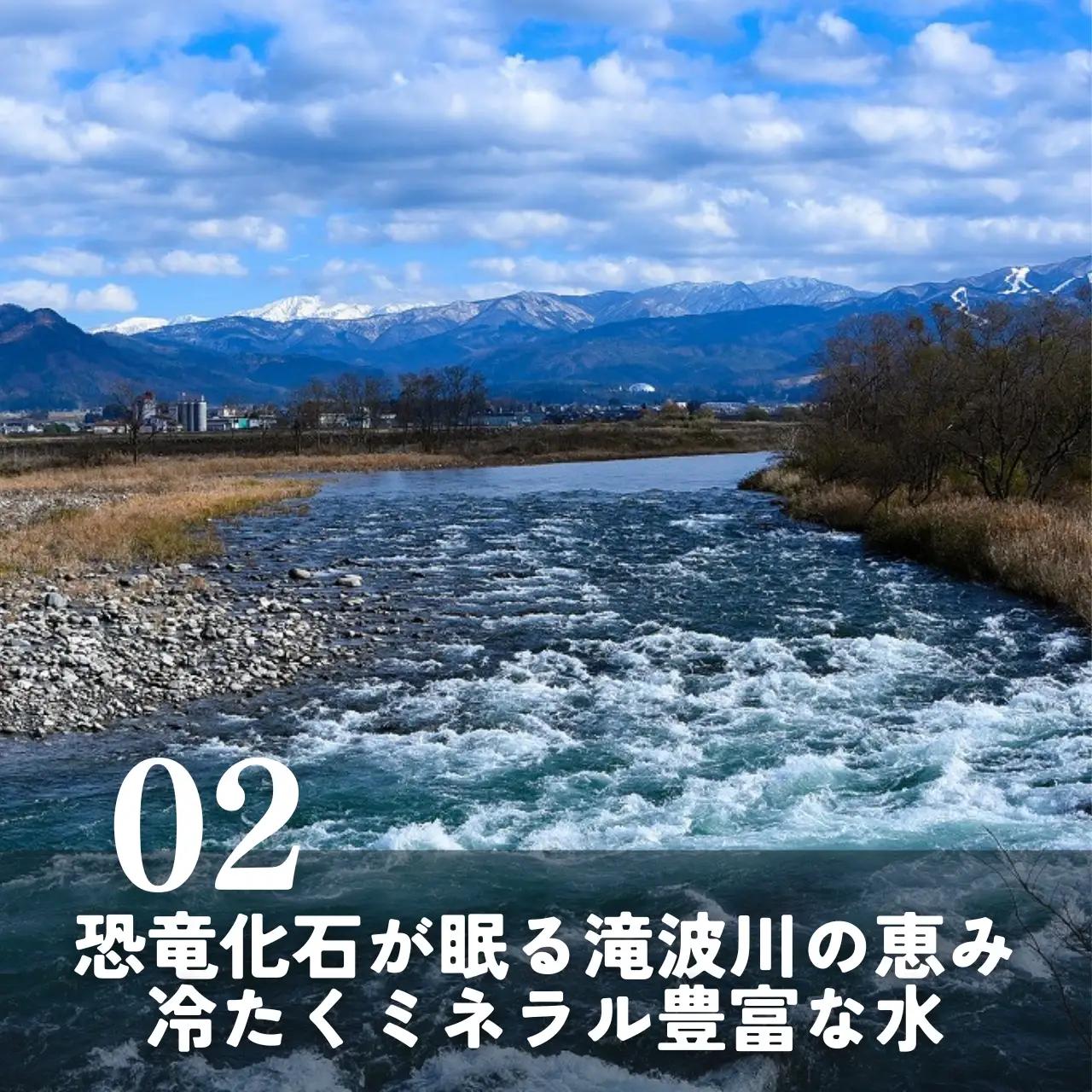 米 2025年産新米 コシヒカリ 勝山産 10kg [C-096002]