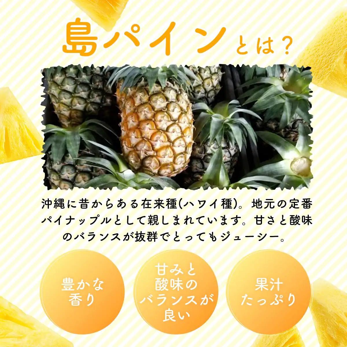 【2027年先行予約】島パイン (ハワイ種) 約2.5kg