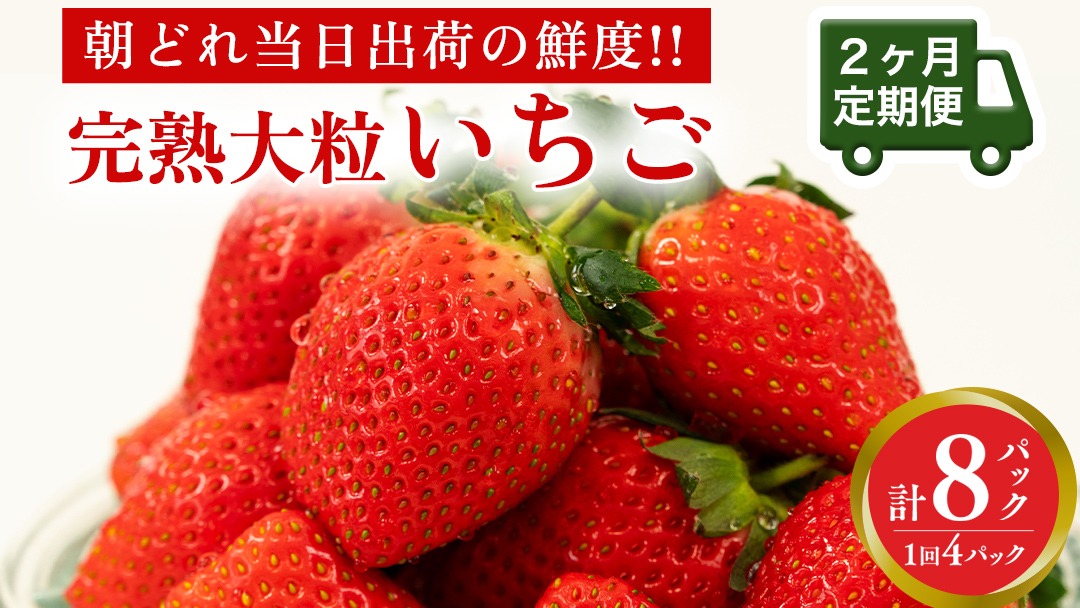 【 2ヶ月 定期便 】完熟 いちご 4パック ( 大粒 ) 先行予約 大粒 イチゴ 苺 フルーツ 果物 かおり野 とちおとめ やよいひめ [AF100ci]