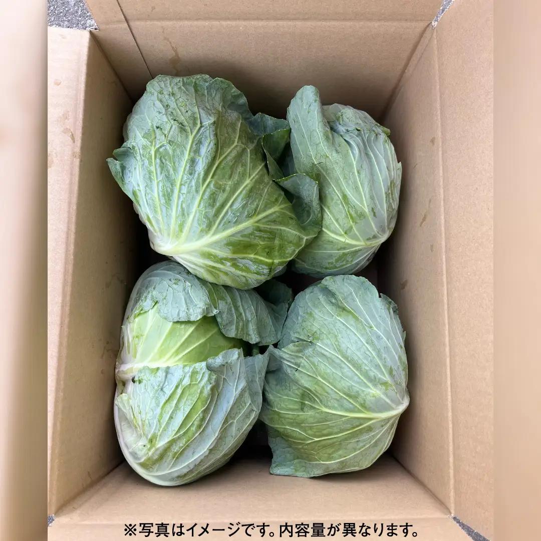 【ふるなびWEEK対象】＜レビューキャンペーン開催中＞【7月中旬発送開始】 嬬恋キャベツ 嬬恋産 高原キャベツ3玉1ケース [AS010tu]