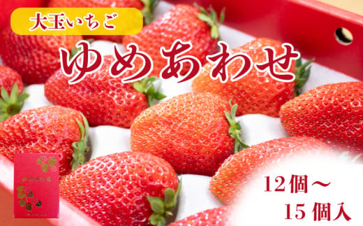 【 先行予約 】いちご やよいひめ かおりの 12～15個 化粧箱入 大粒 果物 フルーツ やよい姫 かおり野 贈答品  プレゼント ゆめあわせ 農家直送 徳島県 阿波市