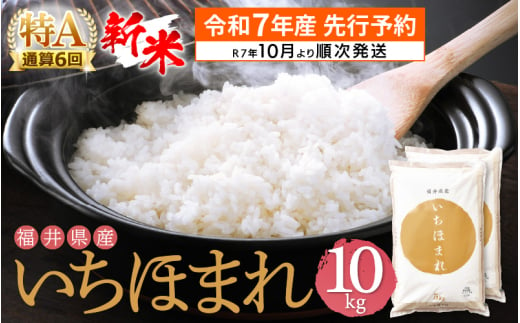 【新米・先行予約】令和7年産 お米 いちほまれ 10kg 特A通算6回！福井県産【米 コメ kome 10キロ 精米 白米】【令和7年10月より順次発送予定】 [e27-b012_10]