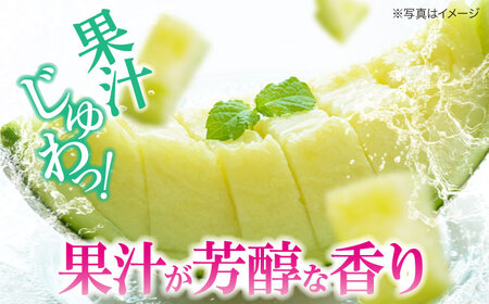 【先行予約】【6月上旬から順次発送】 メロン フェリーチェ 2から3玉 愛媛県大洲市/梶原農園　めろん 果物 フルーツ くだもの 青肉 高級 お取り寄せ　[AGCX002]