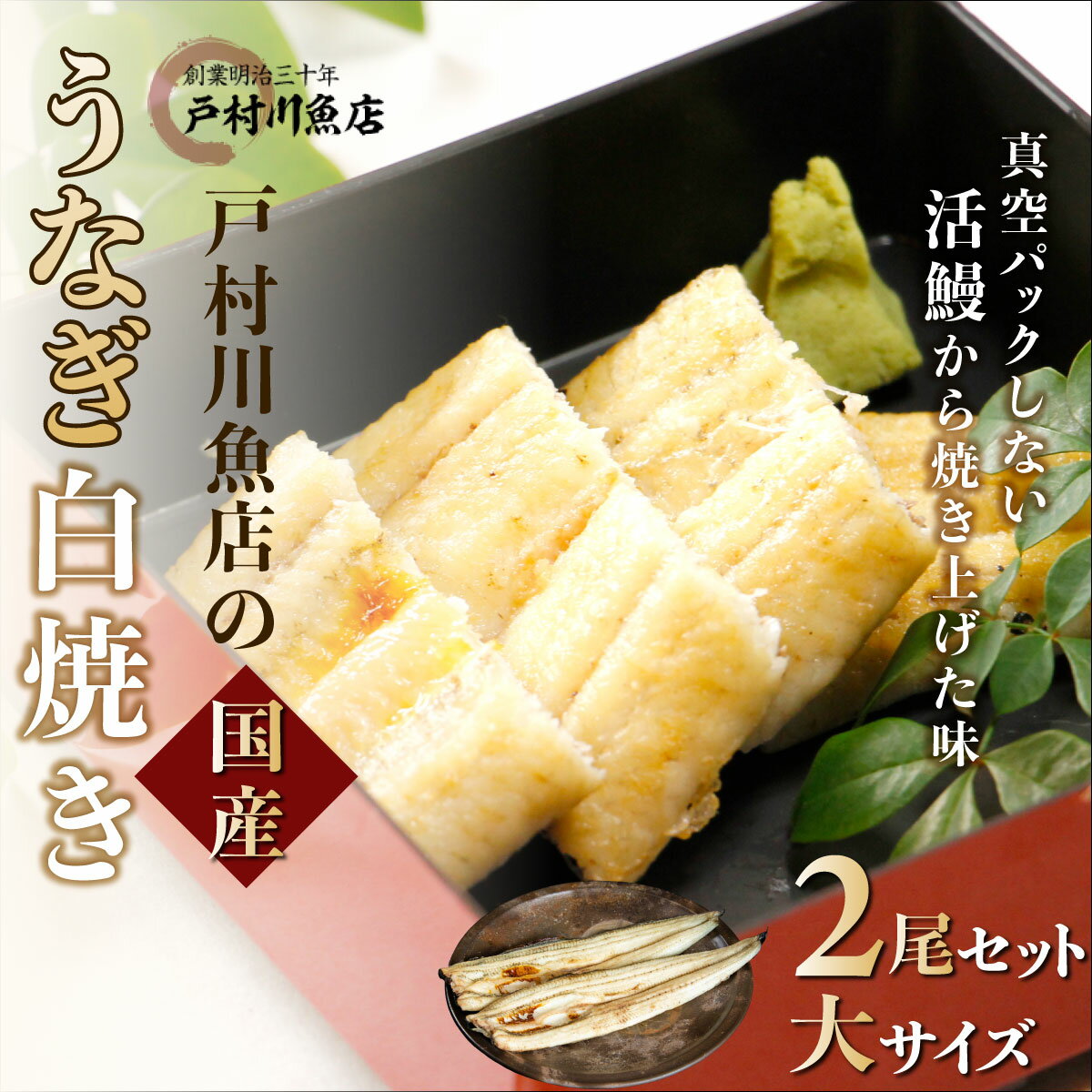 【ふるさと納税】 戸村川魚店の国産うなぎ 白焼き大サイズ 2尾 セット / うなぎ 国産うなぎ 鰻 国産鰻 ウナギ 国産ウナギ 白焼 白焼き TMR001