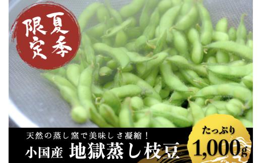 【地熱の里 坂本農園】先行予約 夏季限定・わいたの地熱で蒸した地獄蒸し枝豆 1kg