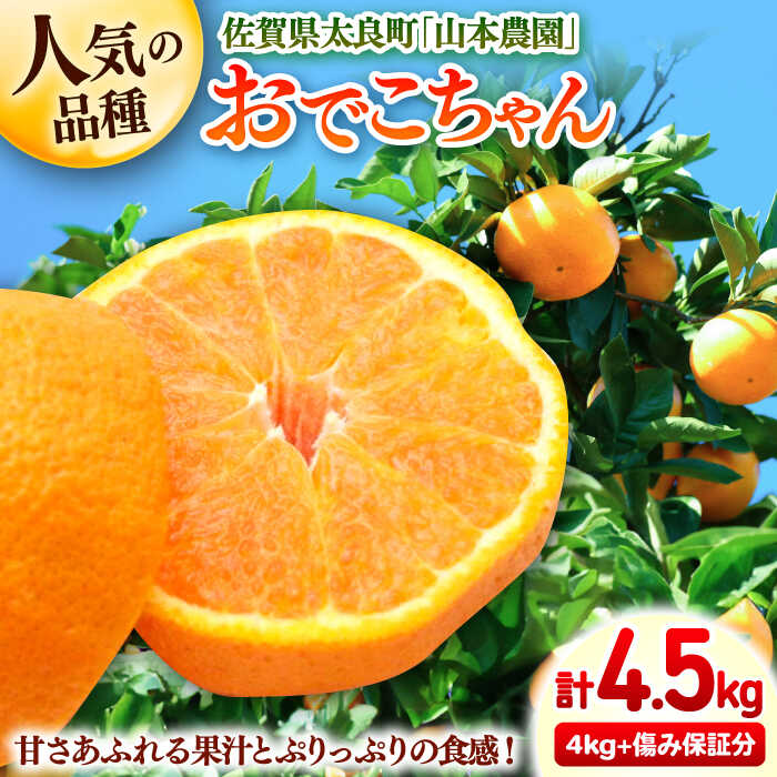 【ふるさと納税】【2027年3月中旬以降発送】おでこちゃん 計4.5kg（4kg＋500g傷み保証分）M-3Lサイズ / ミカン みかん 佐賀みかん / 佐賀県 / 山本農園[41ATBT011]
