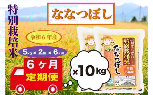【定期便6回】北海道奈井江町　特別栽培米　ななつぼし　10kg