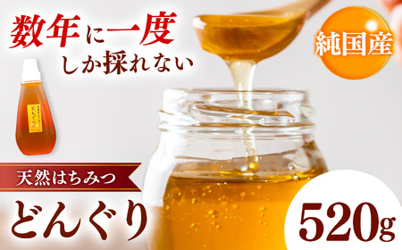 純国産 どんぐりはちみつ 520g｜非加熱 純粋 天然 蜂蜜 単花蜜 どんぐり ハチミツ ギフト｜千葉県 君津市