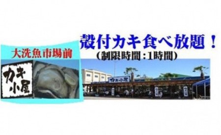 大洗 カキ小屋 カキ食べ放題 ペアチケット 大人2名様 牡蠣 _AN012