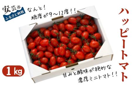 【先行予約】ハッピートマト 1kg【トマト】