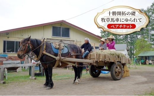 【北海道 十勝 幕別町 】十勝開拓の礎 牧草馬車にゆられて［ ペア チケット ］【 牧場 見学 ツアー 体験型 旅 旅行 イベント 夏休み 自由研究 移住 自然 放牧 ガイド 北海道 十勝 幕別 】 [№5749-1863]