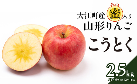 《先行予約》大江町産 山形りんご 「高徳りんご」 2.5kg （M～3S 12～16玉）【2024年10月下旬頃～発送予定】048-006