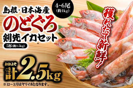 鮮魚セットB【のどぐろ4～6尾（約1kg）・イカ（約300g×5）】計約2.5kg【YM-2】｜のどぐろ イカ 島根 山陰 日本海産 魚介類 魚貝類 海産 海産物 魚 さかな いか ノドグロ 鮮魚 剣先イカ ヤリイカ 下処理済 煮付け 焼き魚 刺身 さしみ 厳選 送料無料 魚 海鮮 のどぐろ イカ 魚 海鮮 のどぐろ イカ 魚 海鮮 のどぐろ イカ 魚 海鮮 のどぐろ イカ 魚 海鮮 のどぐろ イカ｜