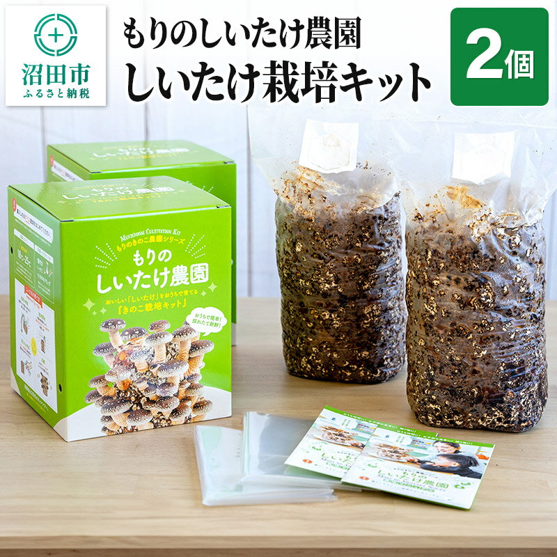 【ふるさと納税】《期間限定10〜4月発送》もりのしいたけ農園「しいたけ栽培キット」2個 [椎茸 シイタケ しいたけ 育成 栽培 菌床]