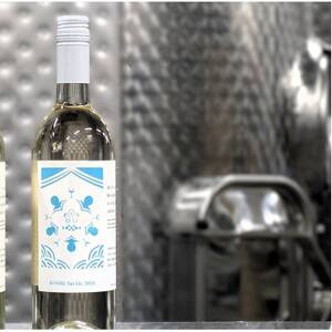 【南三陸ワイナリー】KOSHU Sur Lie 2024　甲州シュール・リー(白・辛口)【1678092】