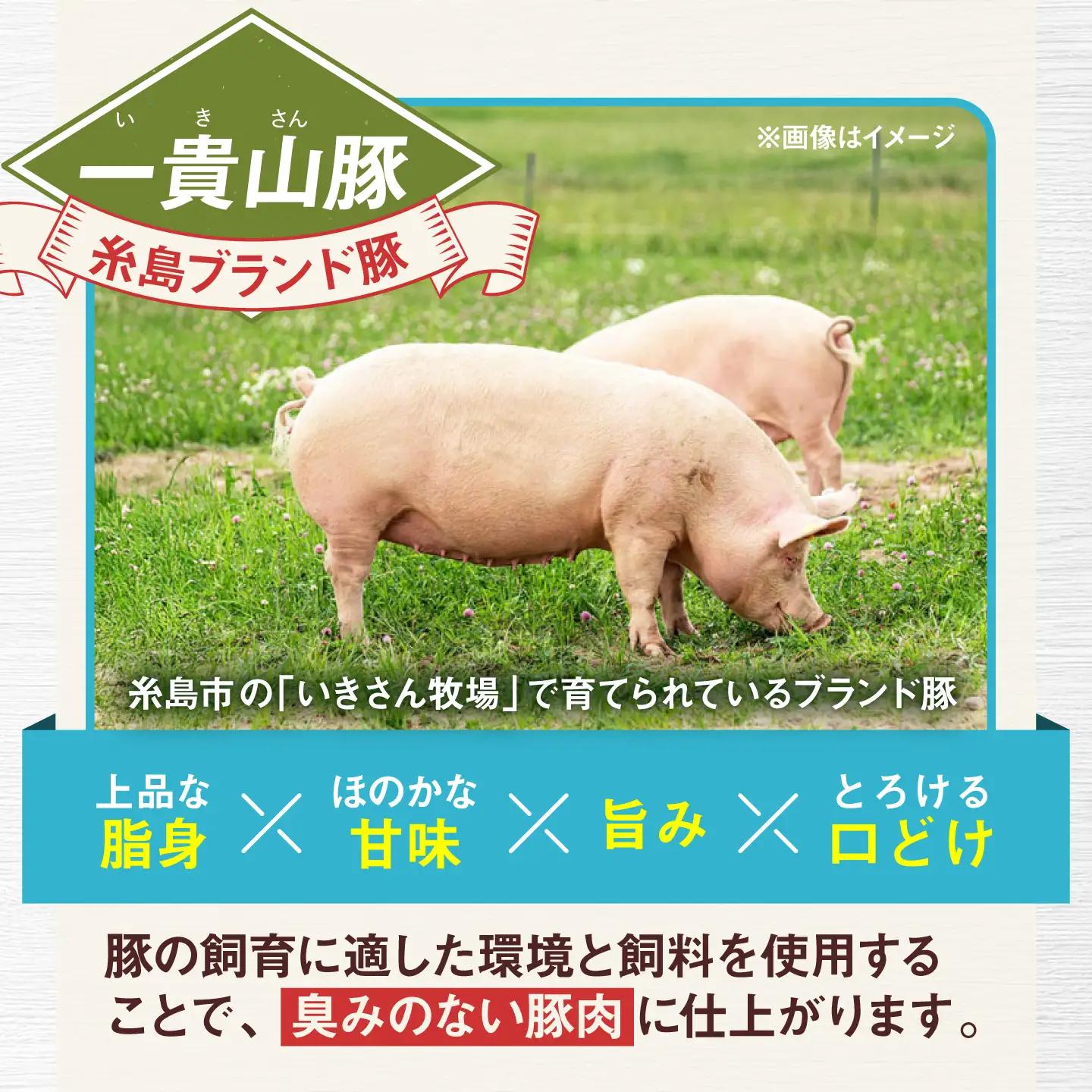 一貴山豚 ロースとんかつ・トンテキ用 計480g(120g×4枚) 糸島市 / いきさん牧場 豚肉 冷凍 [AGB030]