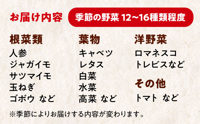 【シェフの目線】栽培期間中農薬不使用！大満足 旬のお野菜セット　愛媛県大洲市/有限会社ヒロファミリーフーズ[AGBX003]野菜 サラダ カレー 農業 トマト 料理  きゅうり 鍋 とうもろこし 果物