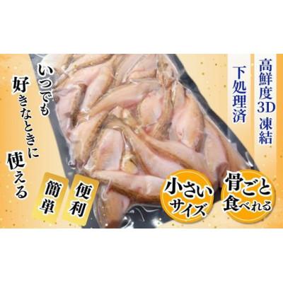 ふるさと納税 香美町 小さいサイズのハタハタ 計1.2kg(300g×4パック)下処理済み(冷凍) |  | 02