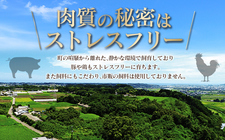 南国みやざき3kgセット＜豚肉1kg+鶏肉2kg＞切落し 鶏肉 もも むね 国産 冷凍 送料無料 スピード便 3～5日以内出荷【A165-5D】