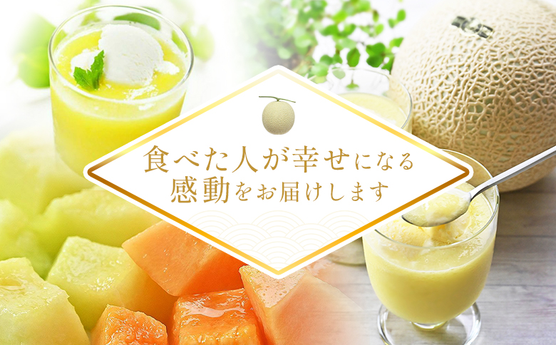 【12回定期便】メロン堪能定期便 - 国産 マスクメロン 完熟 赤肉 青肉 家庭用 フルーツ 果物 ピューレ シャーベット 飲み物 飲料 フルーツジュース 篤農 高知県 香南市 常温 冷凍 Wtn-0