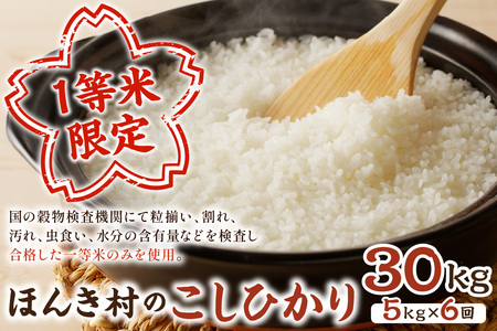 【令和7年産】【定期便】ほんき村のこしひかり 30kg（5kg×6回コース）産直米 特産 お米 精米 白米 玄米 ごはん ご飯 コメ 新米 30キロ 30kg 【197_1953】