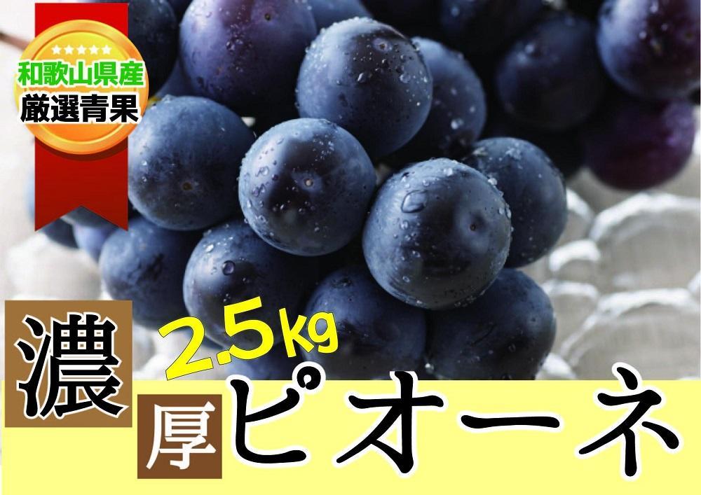 種なし ピオーネ 約2.5kg ぶどう　和歌山産  【甘さとみずみずしさが自慢】 ★8月下旬以降発送★ 303446_BE90012