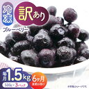 【ふるさと納税】【先行予約】【6回定期便】【訳あり】 冷凍ブルーベリー 小粒 1.5kg（500g×3pc） 【すみれファーム】[ZEP052]