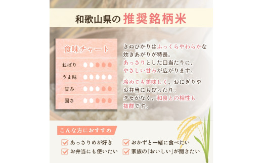  米 キヌヒカリ 2025年9月中旬より順次発送 和歌山県産 10kg  (2025年産) / 精米 お米 由良町 白米 きぬひかり 和歌山県【sml400-kinu-10D】