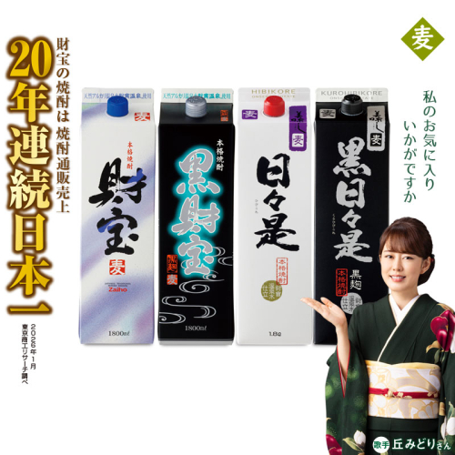 B2-22140／【麦焼酎】紙パック 4種4本 温泉水 財宝 鹿児島 焼酎 お酒