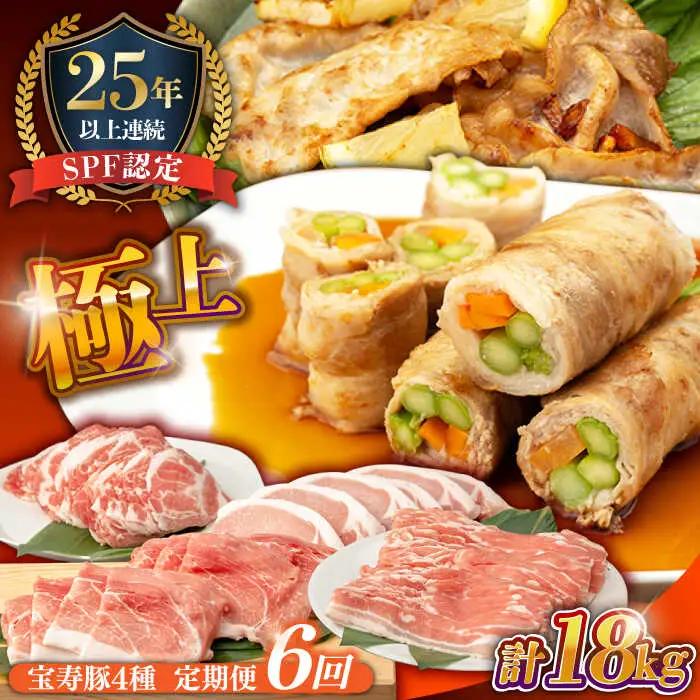 【6回定期便】SPF豚 やっちゃおいしか芳寿豚バラエティセット 計3000g / 豚肉 定期便 ほうじゅとん SPF豚 spfポーク 小分け バラ しゃぶしゃぶ / 南島原市 / 芳寿牧場 [SEI021]