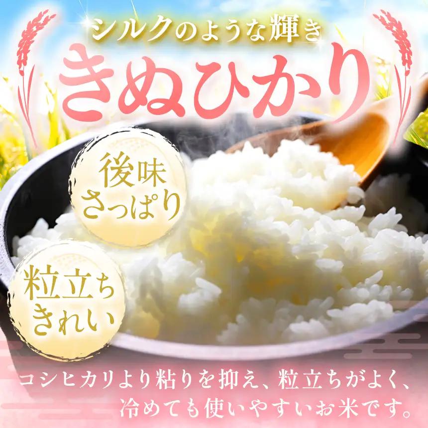 【 定期便 3回 】R8年産 熊本県産 無洗米 きぬひかり 20kg