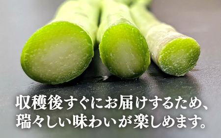 【アスパラガス専門農家が作る！】壱岐産アスパラガス1kg(Lサイズ)≪壱岐市≫【きたじま農園】国産 冷蔵配送 産地直送 朝採れ 新鮮[JGI003]