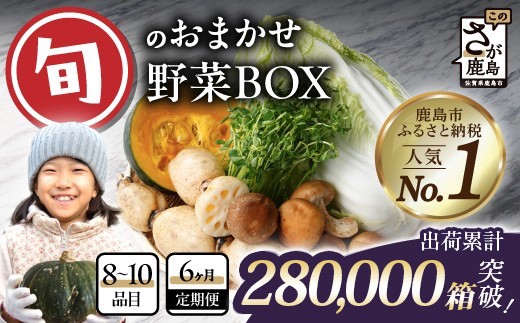 野菜 定期便 6回 旬のおまかせ 野菜BOX (8〜10品目) 【累計28万箱突破】| 野菜定期便 6回 6ヶ月 定番野菜 定期便 野菜 定期便 6ヶ月 果物 セット 詰め合わせ じゃがいも きのこ トマト とうもろこし アスパラガス 玉ねぎ 蓮根 毎月お届け 人気 ランキング 九州 佐賀県 鹿島市 E-72
