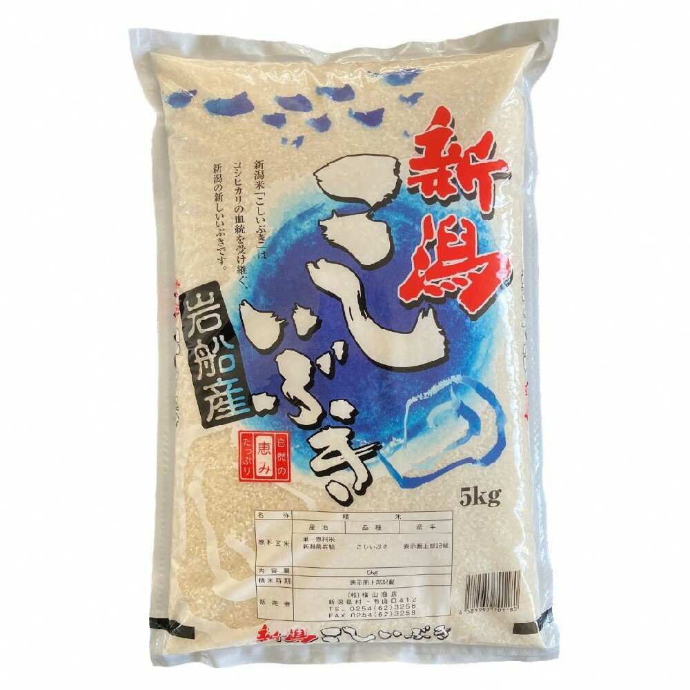 【ふるさと納税】 【令和7年産米】【選べる内容量】 新潟県産 こしいぶき 5kgまたは 5kg×2袋（合計10kg） 精米 お米 白米 1033001 1033003
