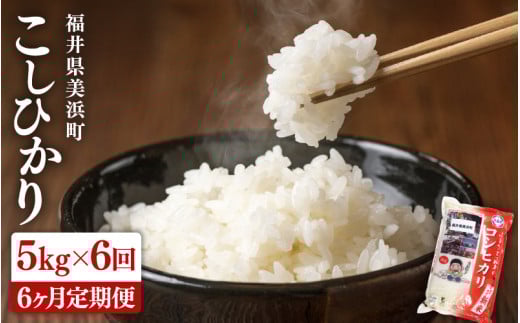 【先行予約】 定期便 ≪6ヶ月連続お届け≫ 米 令和7年産 新米 コシヒカリ 5kg × 6回 （計30kg）精米 福井県美浜町産 【2025年10月下旬以降順次発送予定】 [m60-i001]