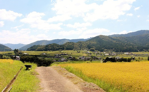 栽培地域限定のお米。由良川上流域（和知地域）のきれいな水で育ったこしひかり。