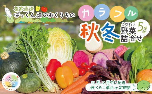 
                  【 早期受付 】 とれたて 新鮮 ！ぱっくん畑のおくりもの 農家直送 秋・冬 野菜セット 約5種類 国産 野菜 やさい ベジタブル 先行 予約 高知県 高知 しまんと 四万十市 野菜便 詰め合わせ 限定 お取り寄せ 秋野菜 冬野菜
                