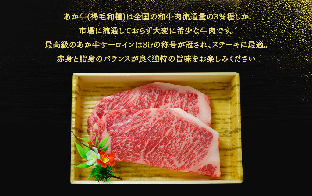 あか牛サーロインステーキセット 200g×2枚 あか牛のたれ200ml付き