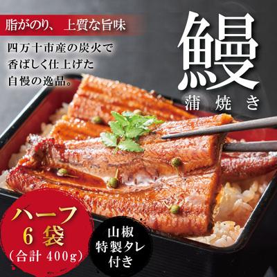 ふるさと納税 四万十市 &lt;四万十食品&gt;うなぎ蒲焼　ハーフ6袋/CD