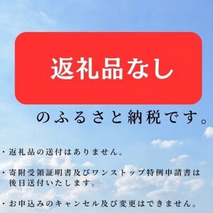 【返礼品なし】岩手県宮古市への寄附(5,000円)