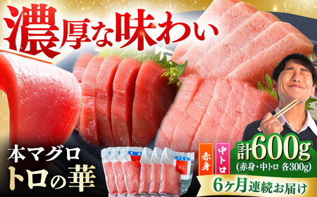 【全6回定期便】対馬産 本マグロ 600g（赤身300g、中トロ300g） ≪対馬市≫【桐谷商店】 トロの華 対馬 新鮮 マグロ 赤身 トロ 鮪 刺身[WAQ069]