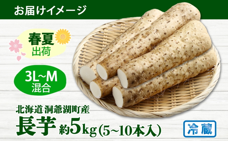 北海道産 長いも 春夏出荷 約5kg 2025年5月上旬～7月下旬頃お届け 長芋 ながいも とろろ 農作物 野菜 新鮮 根菜  山かけ 産地直送 お取り寄せ 送料無料 冷蔵 北海道 洞爺湖町
