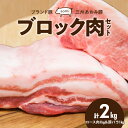 【ふるさと納税】豚肉 ブランド豚 三州あおみ豚 ブロック肉 セット ロース肉 豚バラ 各 1kg 計 2kg 肉 食品 国産 柔らかい とろける 上質 脂 お取り寄せ お取り寄せグルメ 冷凍 愛知県 碧南市 送料無料