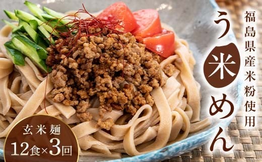 【3か月定期便】グルテンフリー 米粉で作った麺「う米めん」玄米タイプ12食入り×3回 F21T-458