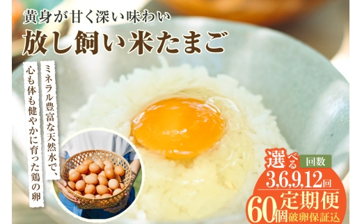 
                  【3～12ヶ月定期便】放し飼い米たまご　55個 + 5個保証（計60個）選べる定期便回数【JGAP認証】
                