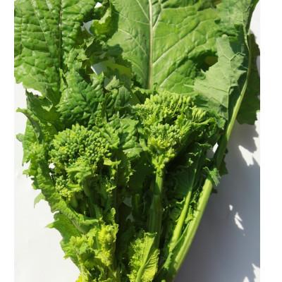 ふるさと納税 まんのう町 菜の花(袋入り) 約2kg |  | 01