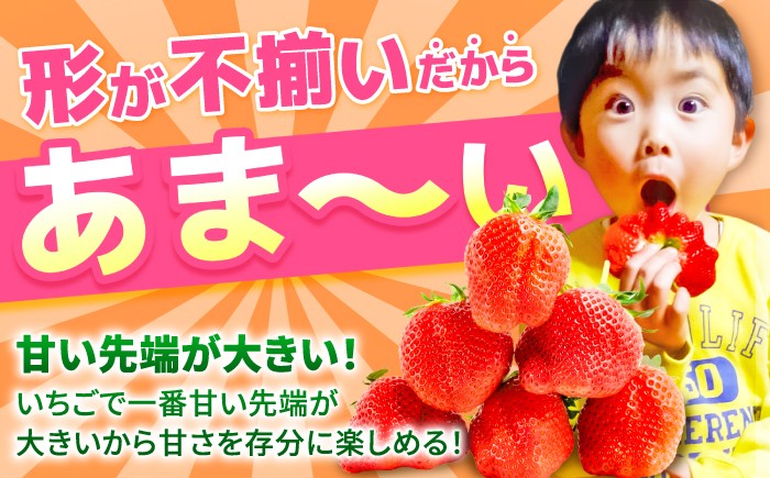 佐賀県産 いちごさん　いちご イチゴ 苺