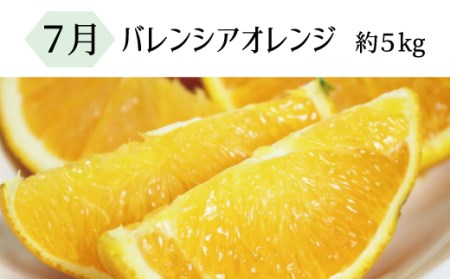 【全3回定期便】暑い季節にお届け！果物定期便　バレンシアオレンジ・桃・柿　旬のフルーツをお届け♪ / オレンジ みかん 柿 モモ フルーツ 果物定期便 フルーツ定期便 おすすめ 人気フルーツ 和歌山【