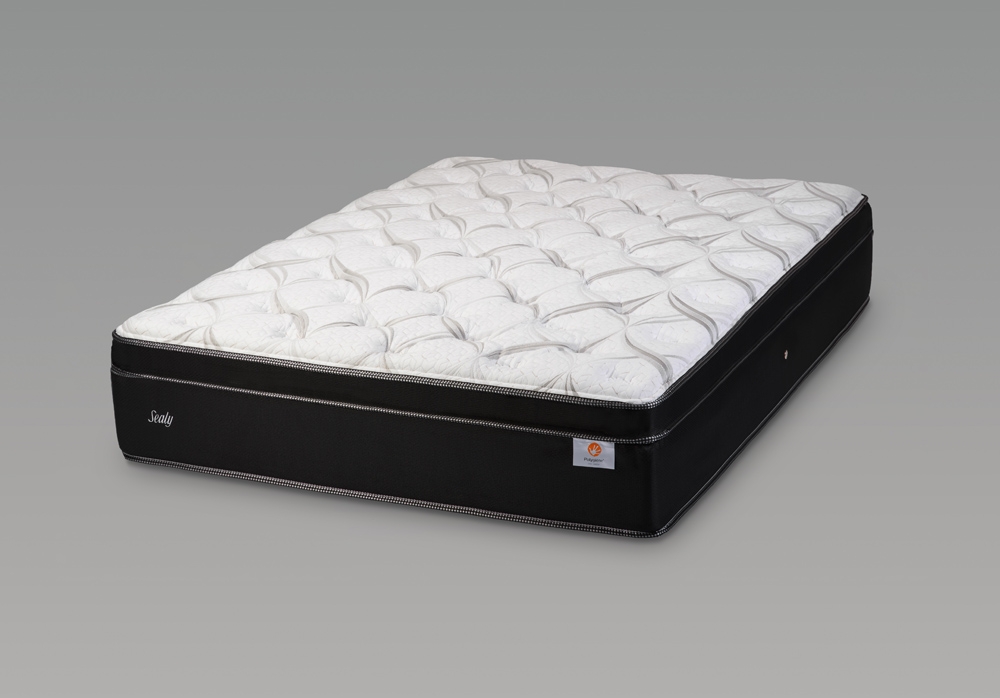 
                  【 Sealy 】 マスターピース ET マットレス （ ダブル ） 寝具 睡眠 快眠 寝心地 睡眠環境 布団 ふとん 不眠 まっとれす チタン 姿勢
                